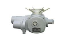 核級(jí)閥門(mén)電動(dòng)裝置的產(chǎn)品分類(lèi),核級(jí)閥門(mén)電動(dòng)裝置的產(chǎn)品分類(lèi)生產(chǎn)廠家,核級(jí)閥門(mén)電動(dòng)裝置的產(chǎn)品分類(lèi)價(jià)格