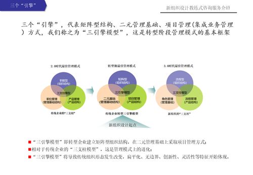 新組織設(shè)計(jì)教練式咨詢(xún)服務(wù) 賦能個(gè)人商務(wù)服務(wù)的戰(zhàn)略轉(zhuǎn)型與卓越成長(zhǎng)